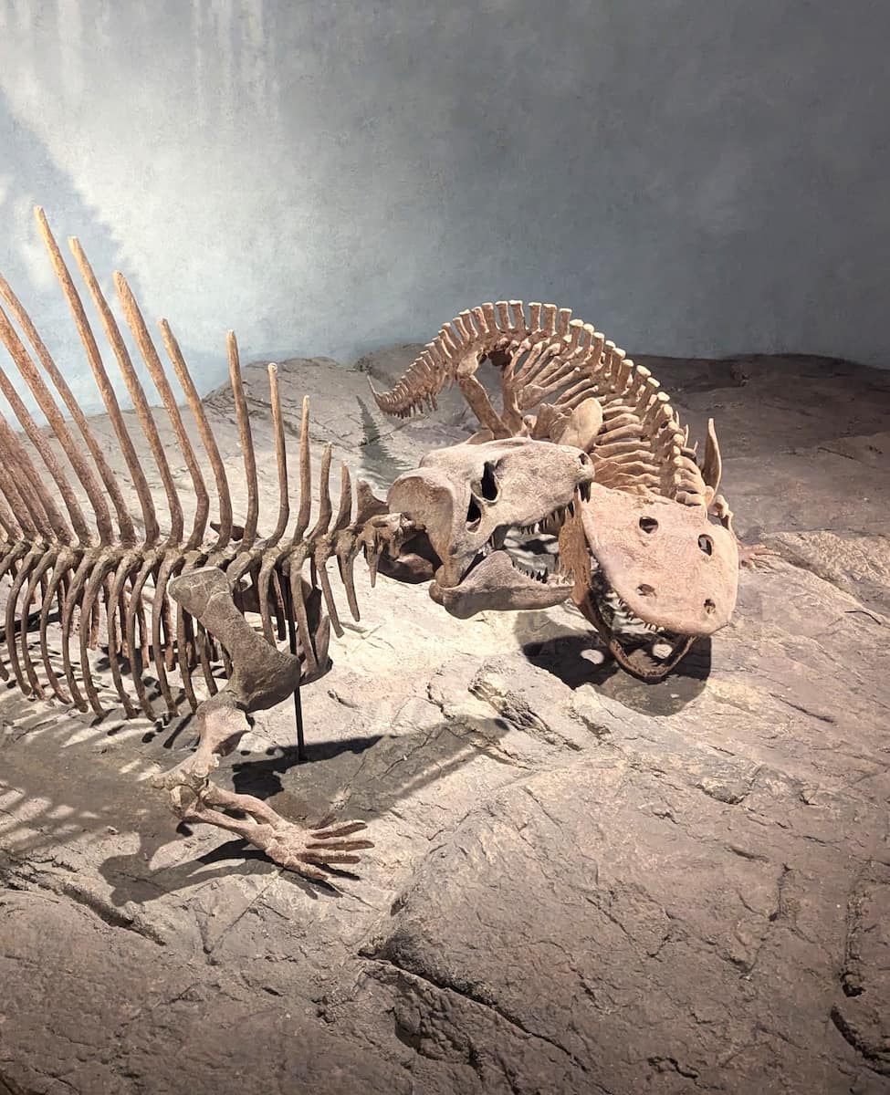 Denver Museum of Nature & Science Denver Museum of Nature & Science