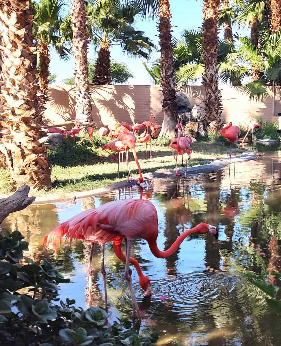 Denver Zoo Denver Zoo