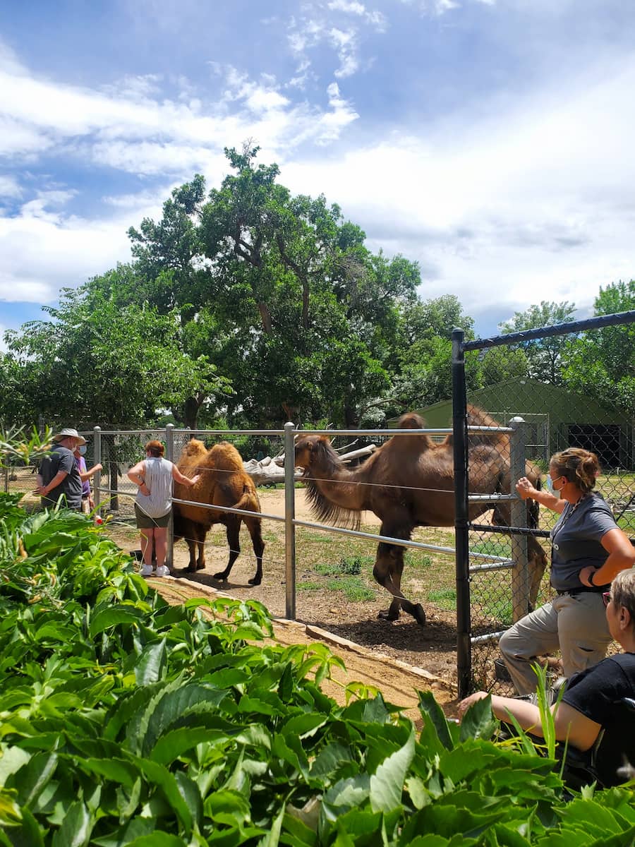 Denver Zoo Denver Zoo