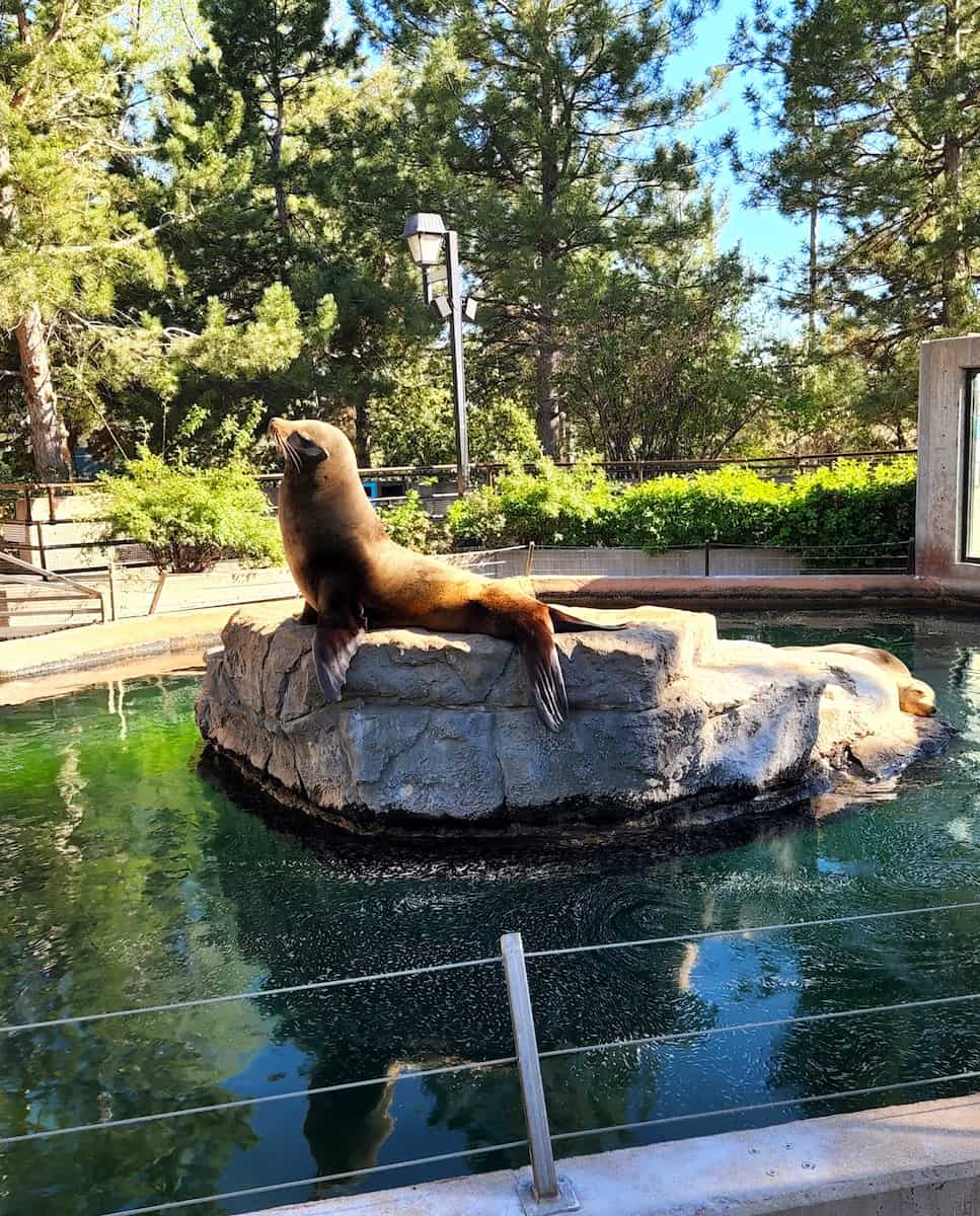 Denver Zoo Denver Zoo