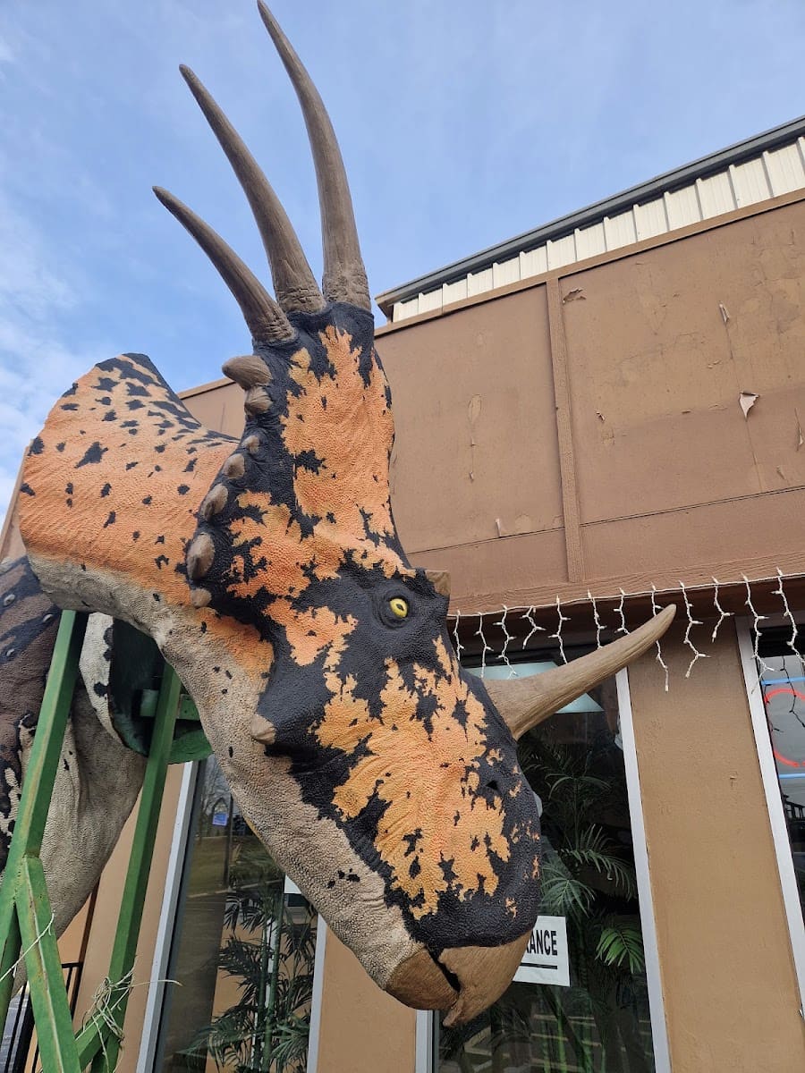 Dinosaur Museum, Branson MO