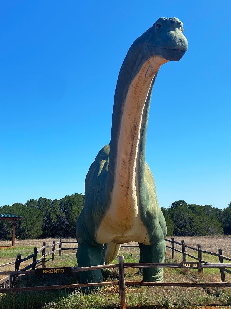 Dinosaur Valley State Park, Dallas Dinosaur Valley State Park, Dallas