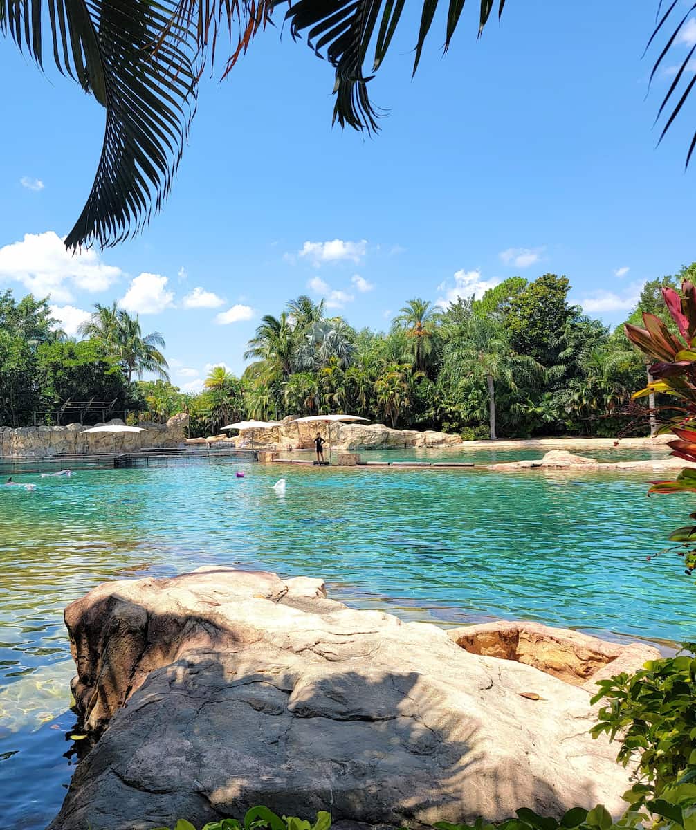 Discovery Cove, Orlando Discovery Cove, Orlando