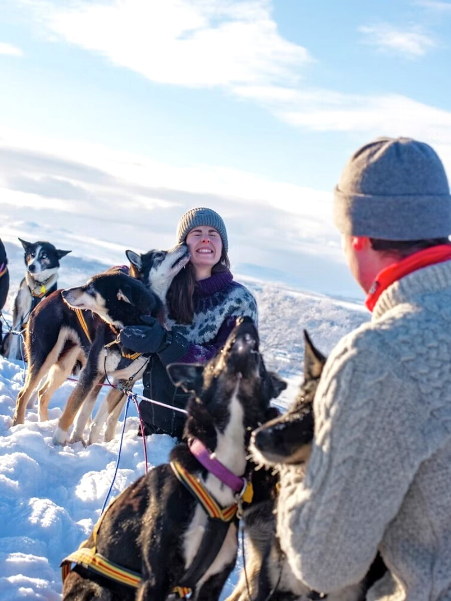Dog Sledding, Narvikf