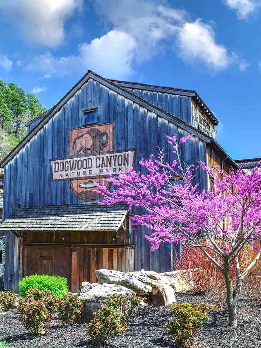 Dogwood Canyon Nature Park, Branson MO