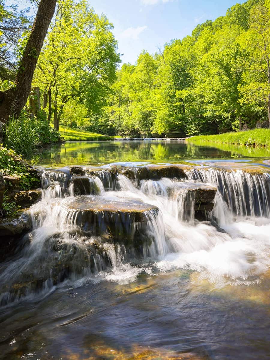 Dogwood Canyon Nature Park, Branson MO
