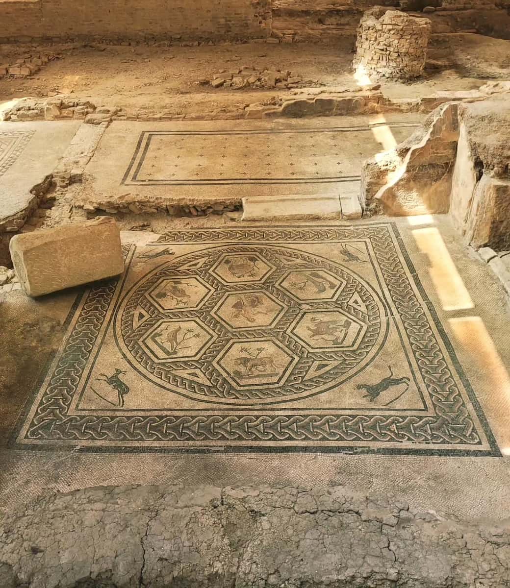 Domus del Chirurgo Rimini