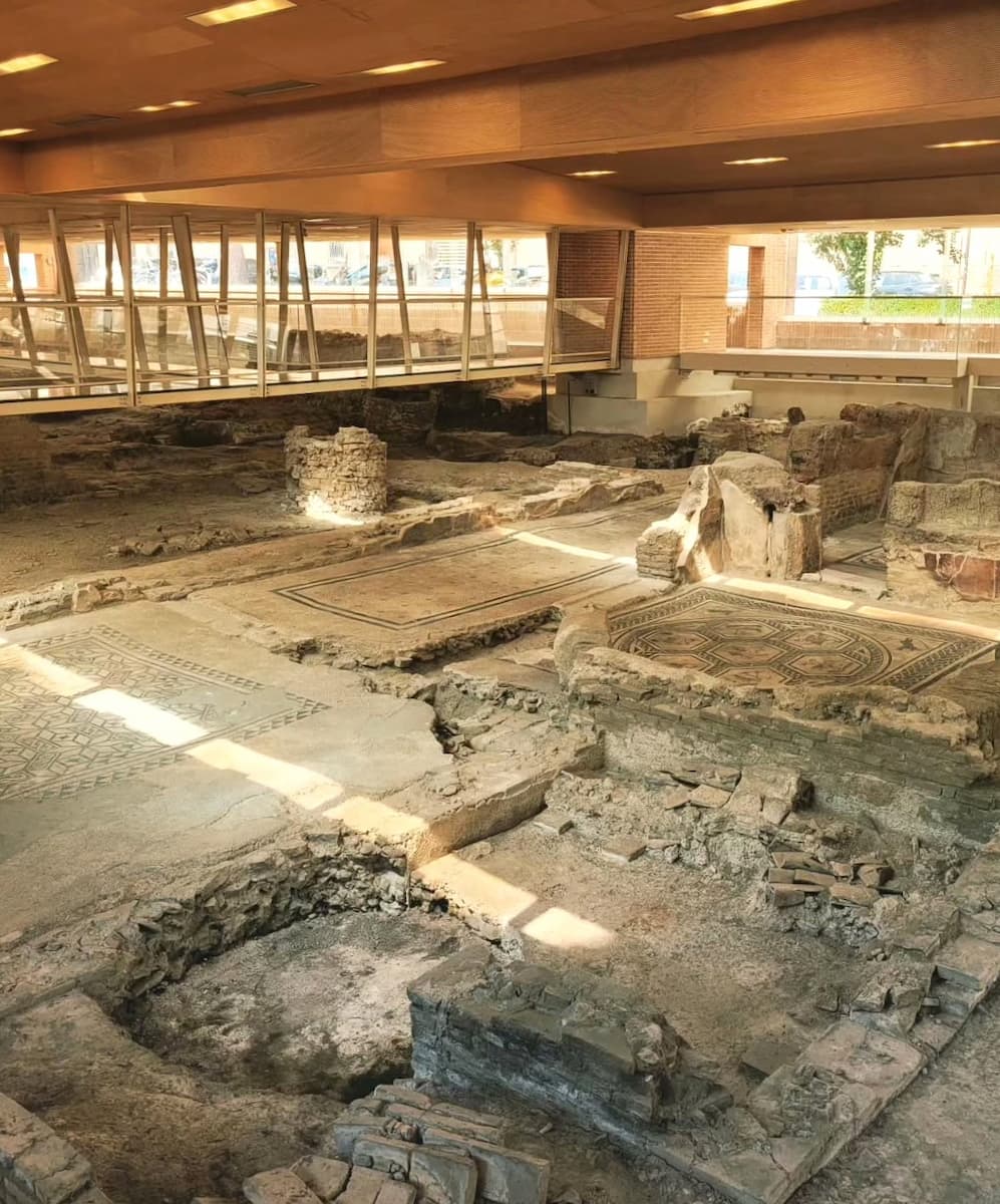 Domus del Chirurgo Rimini