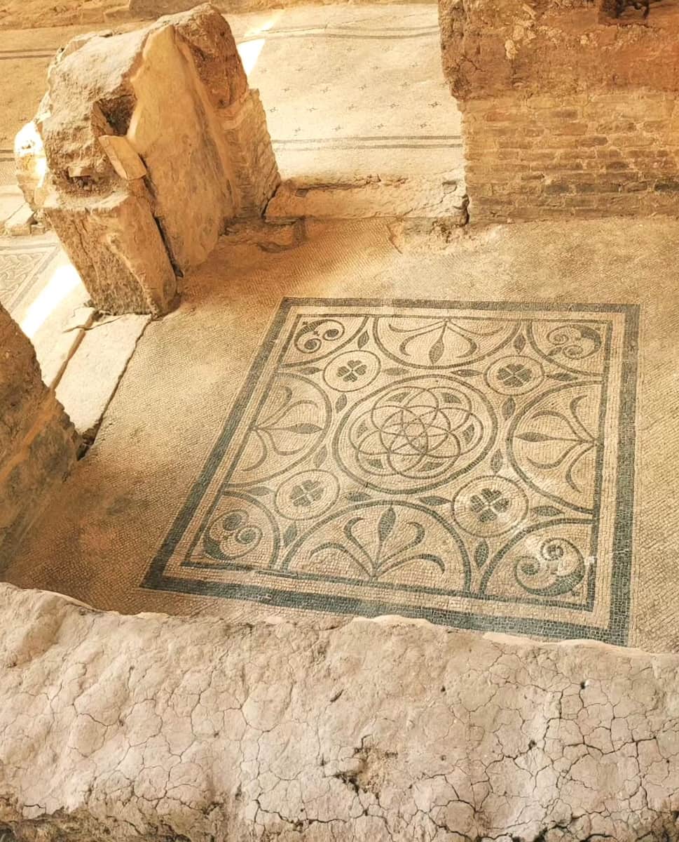 Domus del Chirurgo Rimini