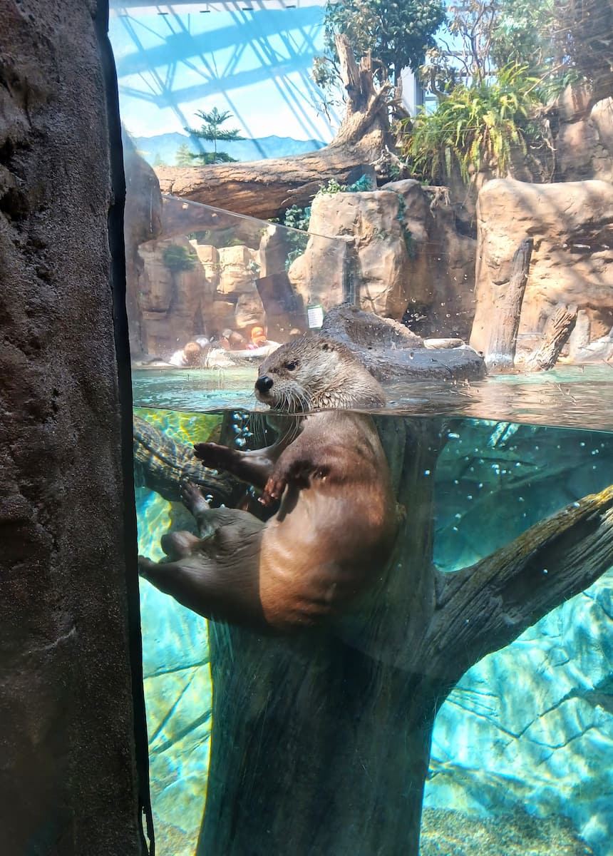 Downtown Aquarium, Denver Downtown Aquarium, Denver