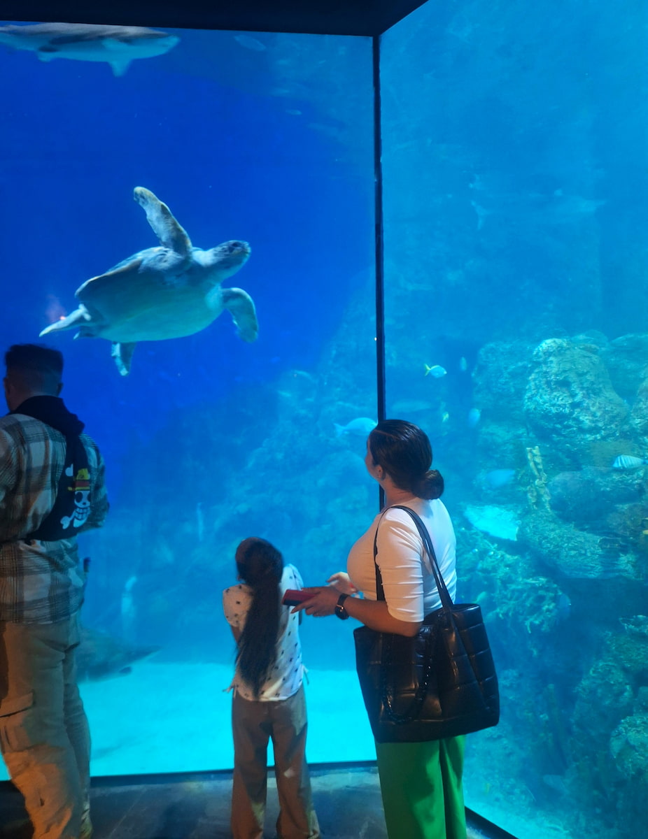 Downtown Aquarium, Denver Downtown Aquarium, Denver