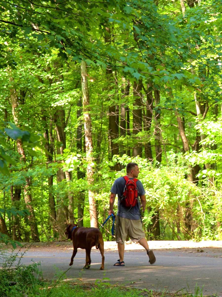 Eagle Park, Indianapolis