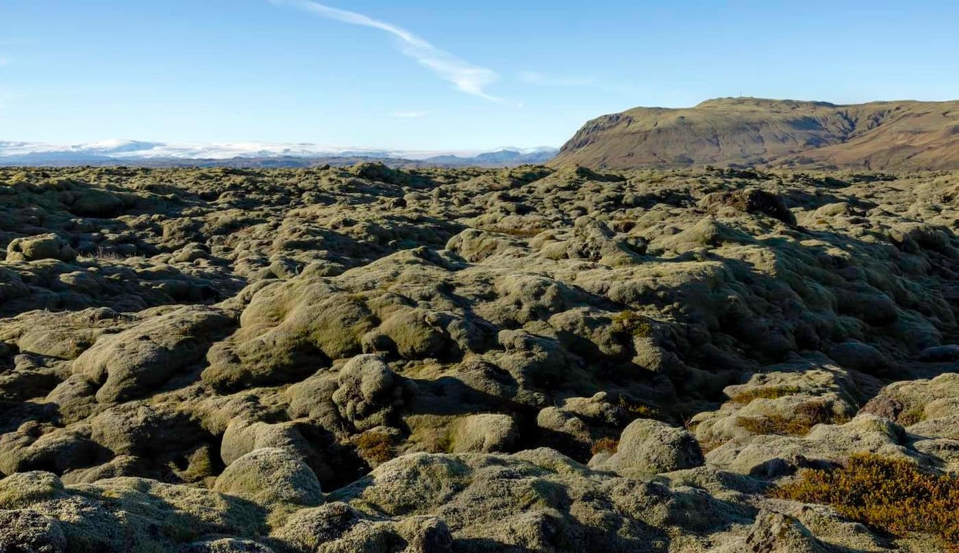 Eldhraun Lava Fields, Vik Eldhraun Lava Fields, Vik