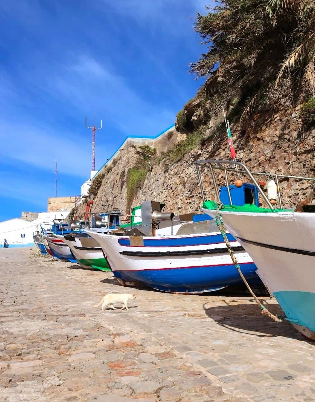 Ericeira Gallery Ericeira Gallery