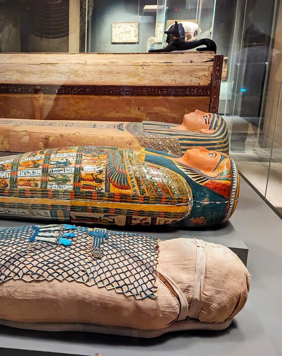 Exhibits in the Museum of Fine Arts Exhibits in the Museum of Fine Arts