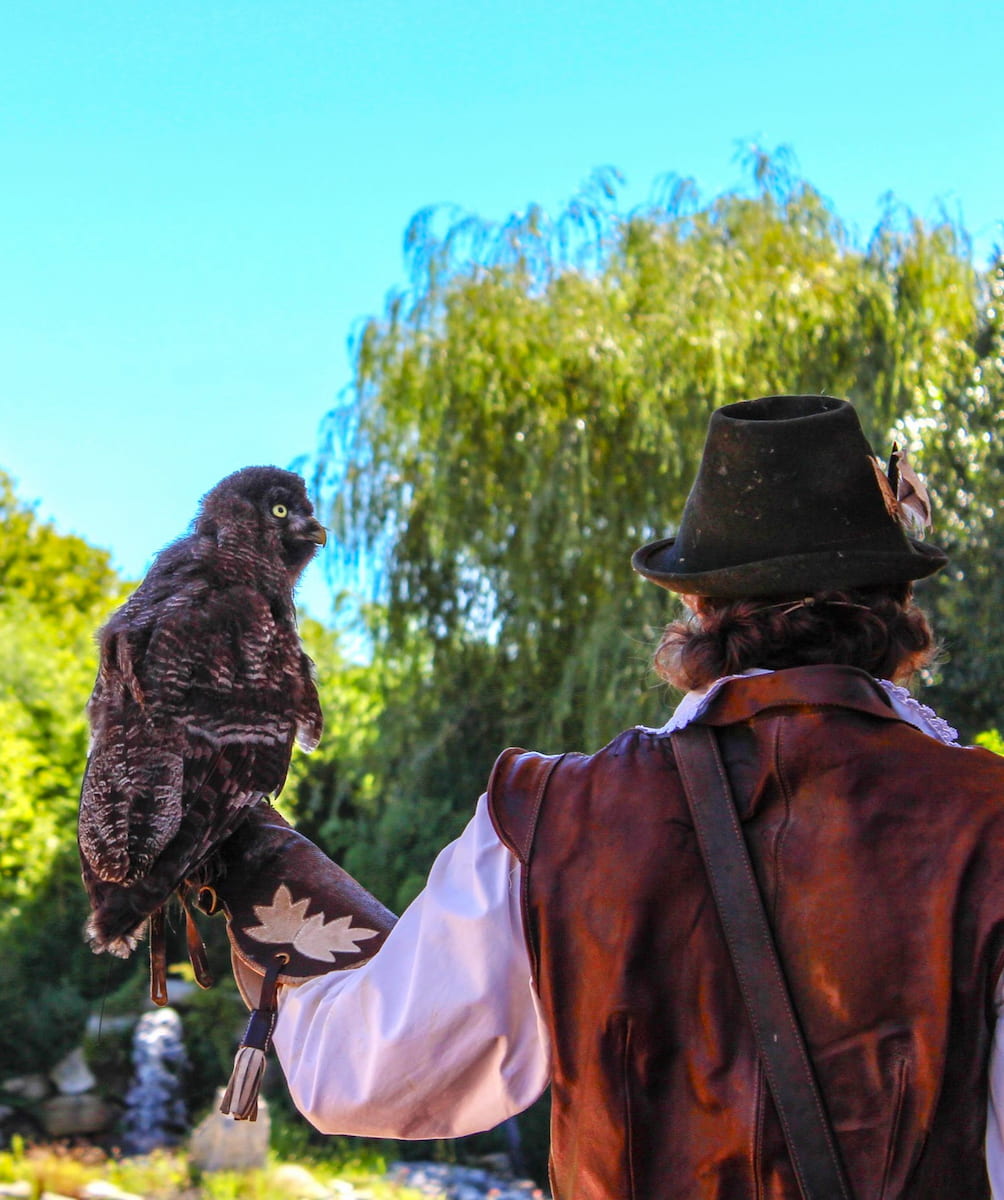 Falconeria Locarno, Italy