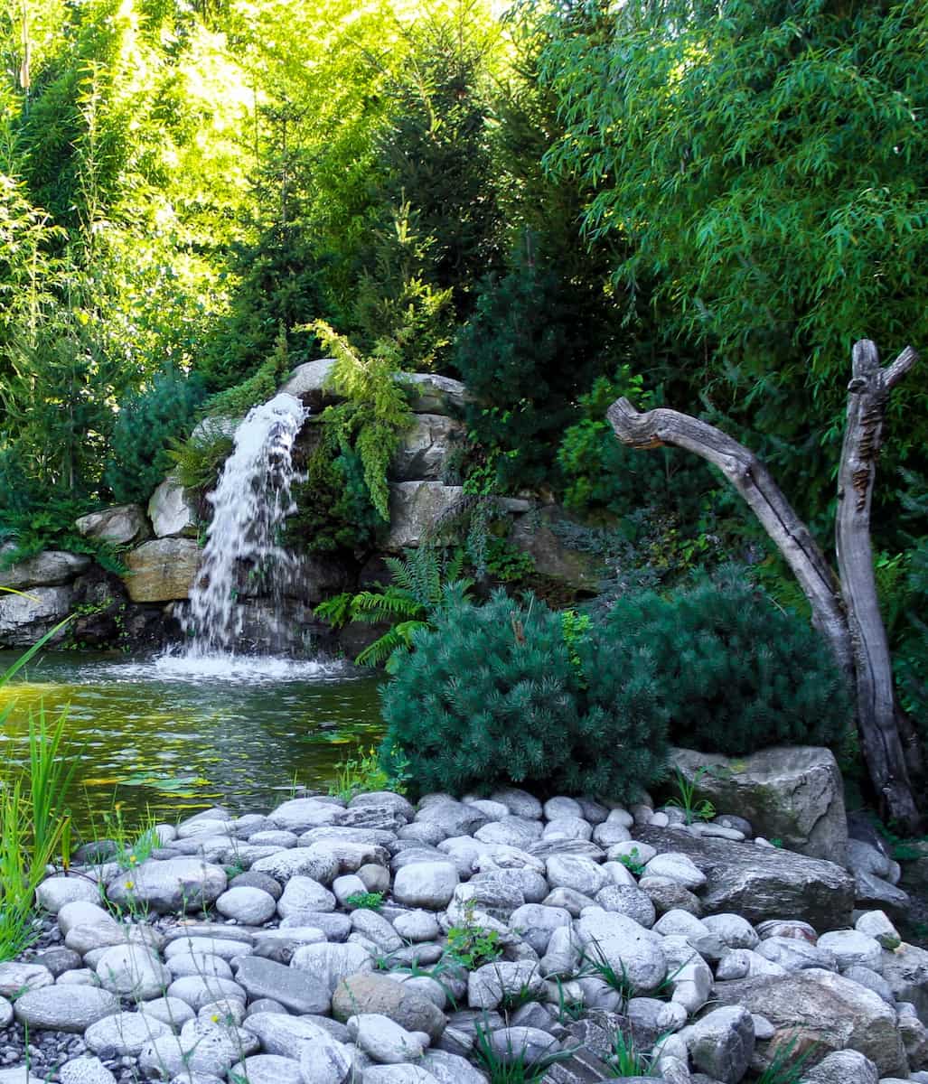 Falconeria Locarno, Italy