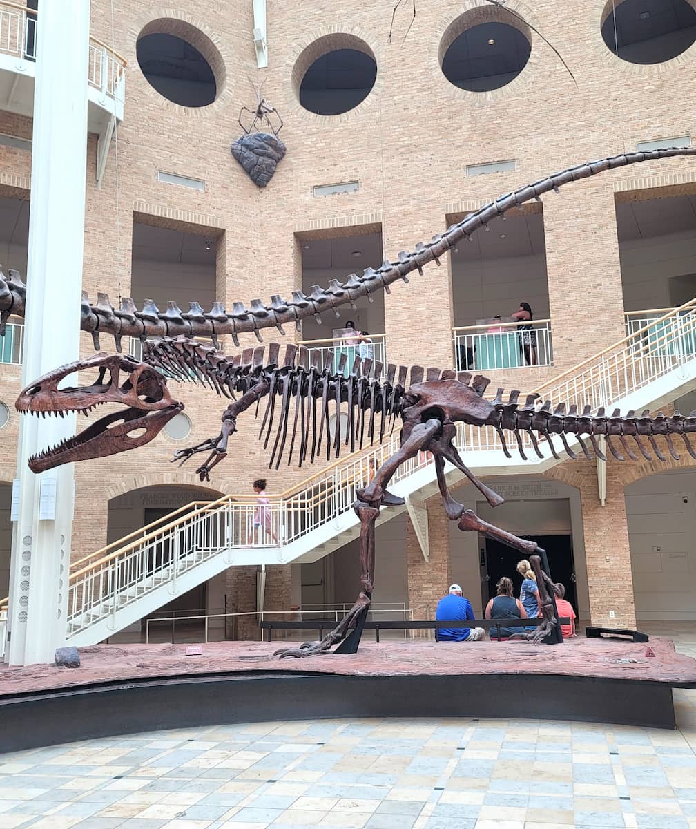 Fernbank Museum of Natural History Atlanta