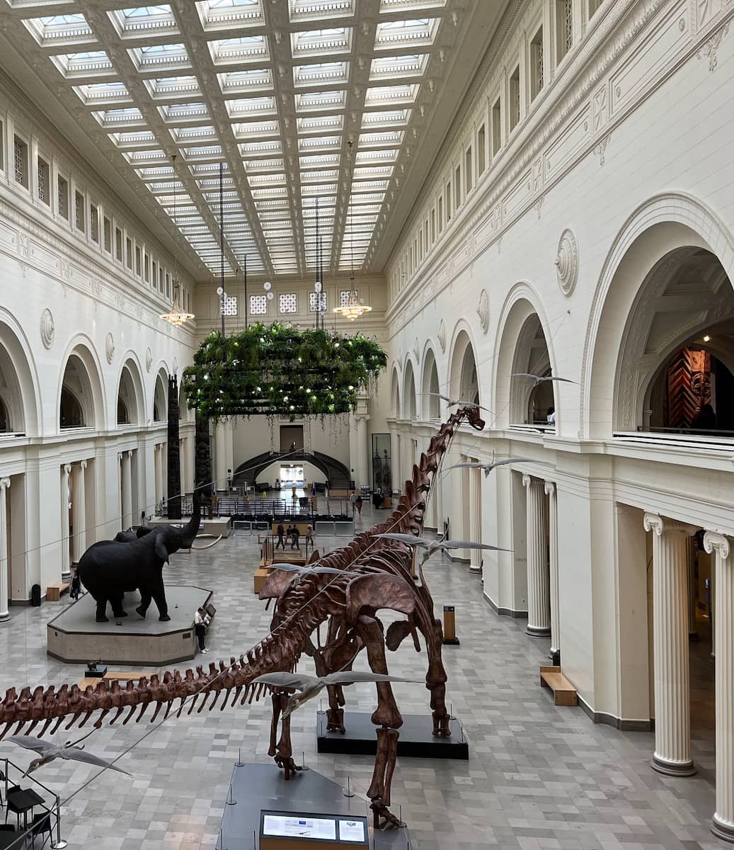 Field Museum, Chicago Field Museum, Chicago
