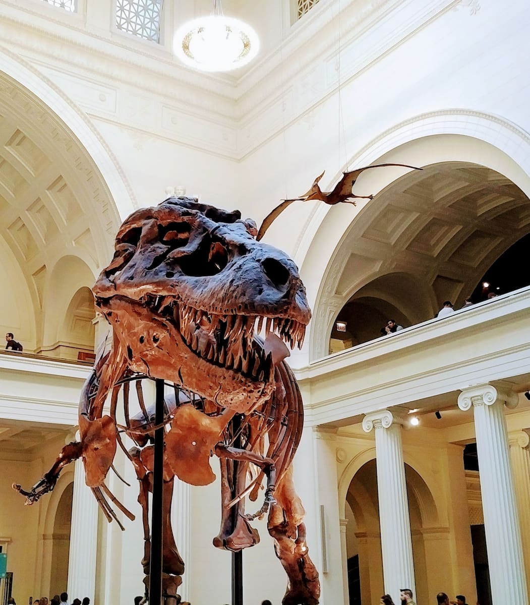 Field Museum, Chicago Field Museum, Chicago