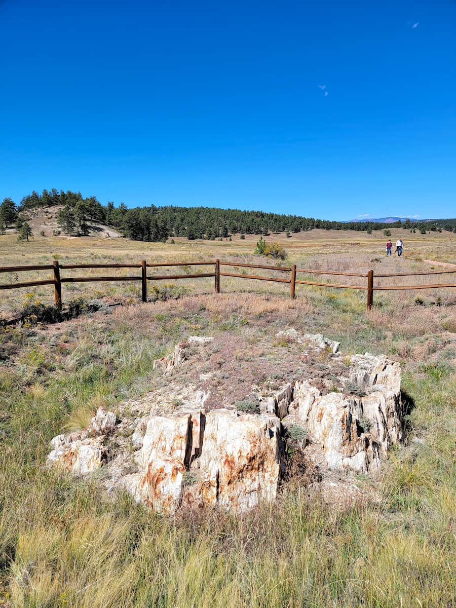Florissant Fossil Beds Colorado Florissant Fossil Beds Colorado