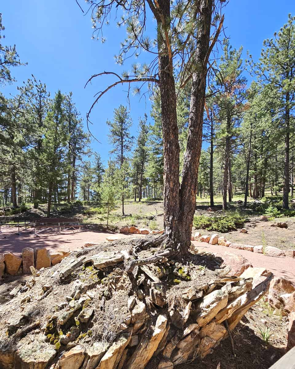 Florissant Fossil Beds Colorado Florissant Fossil Beds Colorado