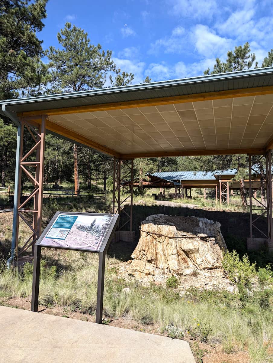 Florissant Fossil Beds Colorado Florissant Fossil Beds Colorado