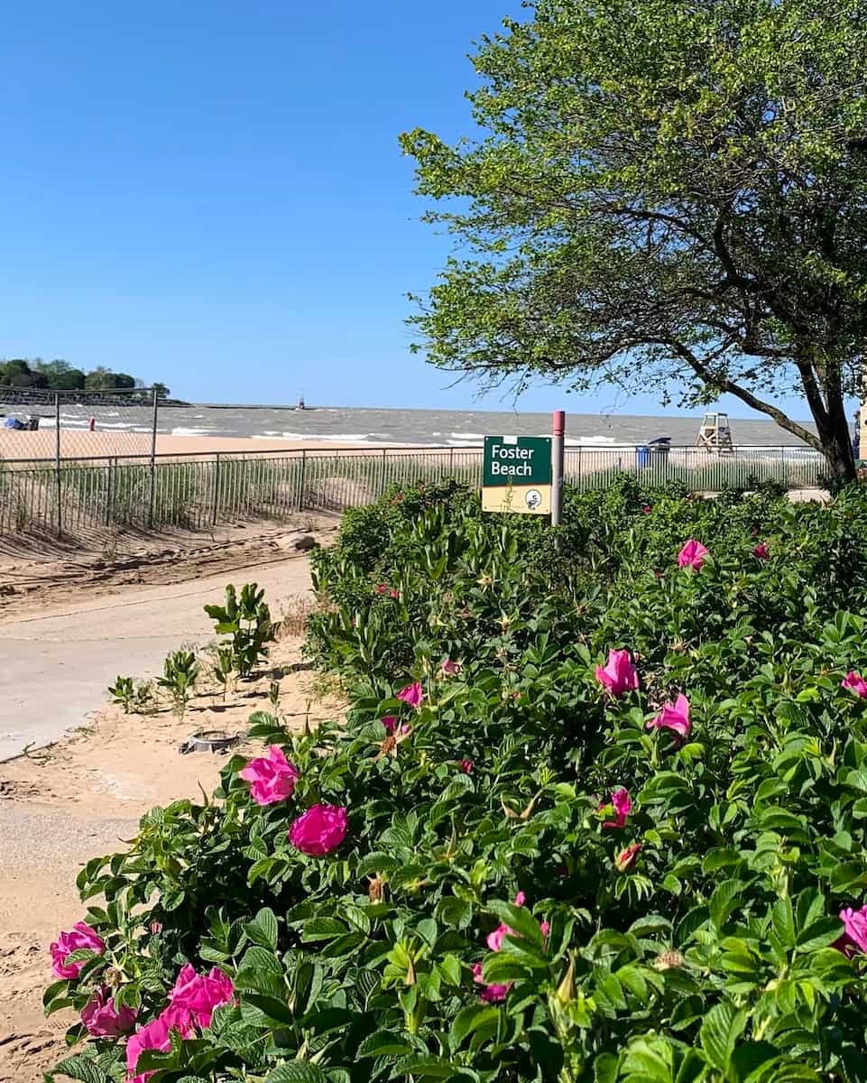 Foster Beach, Chicago Foster Beach, Chicago