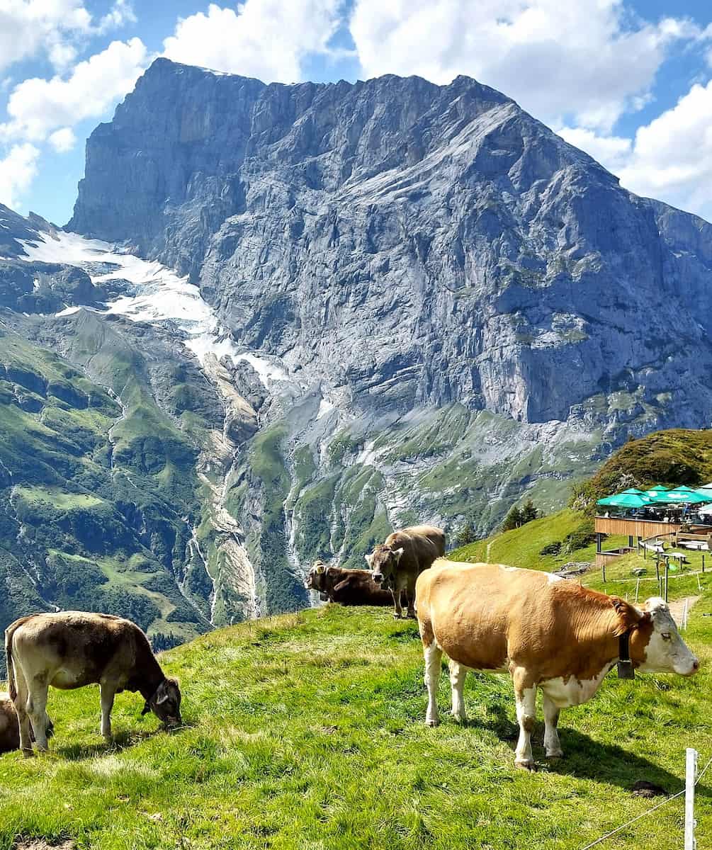 Fürenalp, Engelberg