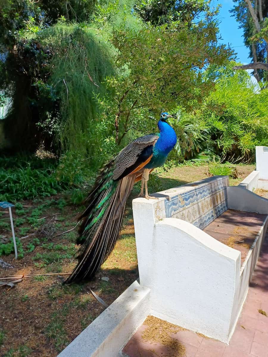 Garden of Afonso de Albuquerque, Belen Garden of Afonso de Albuquerque, Belen