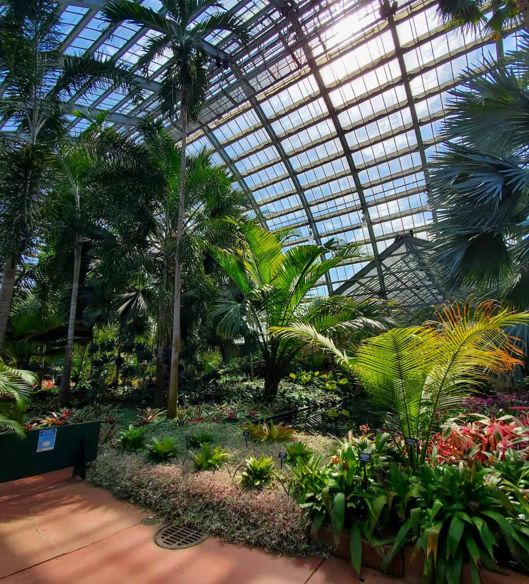 Garfield Park Conservatory, Chicago Garfield Park Conservatory, Chicago