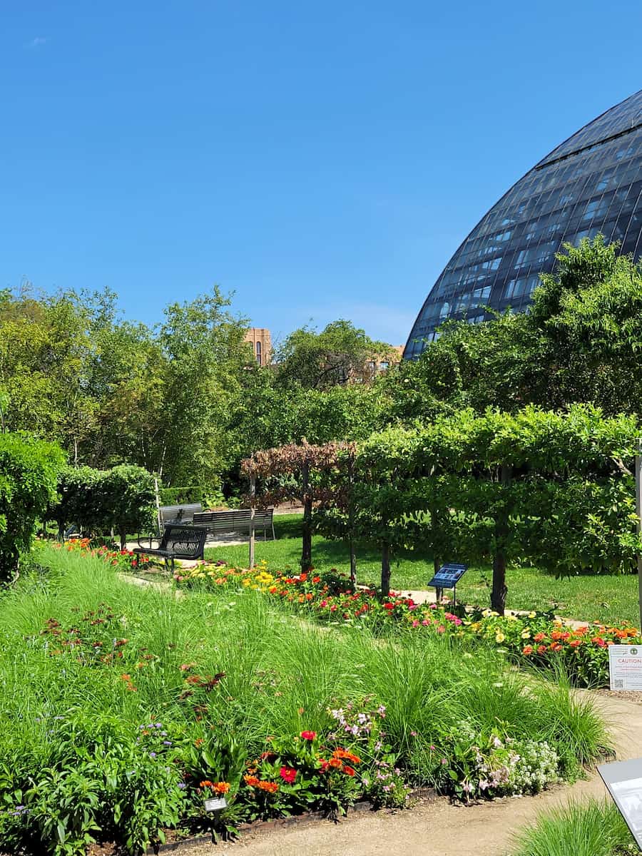 Garfield Park Conservatory, Chicago Garfield Park Conservatory, Chicago