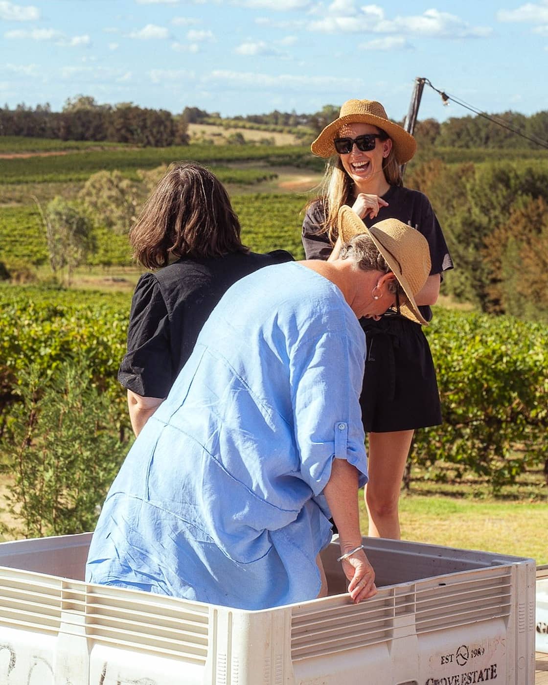 Grape Harvest Festival, Parga Grape Harvest Festival, Parga