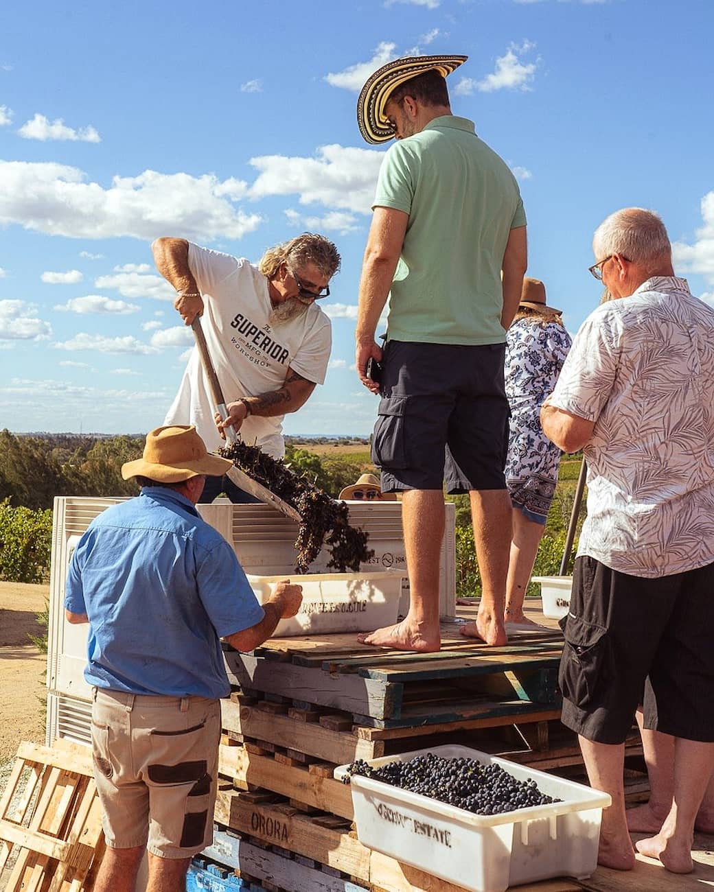 Grape Harvest Festival, Parga Grape Harvest Festival, Parga