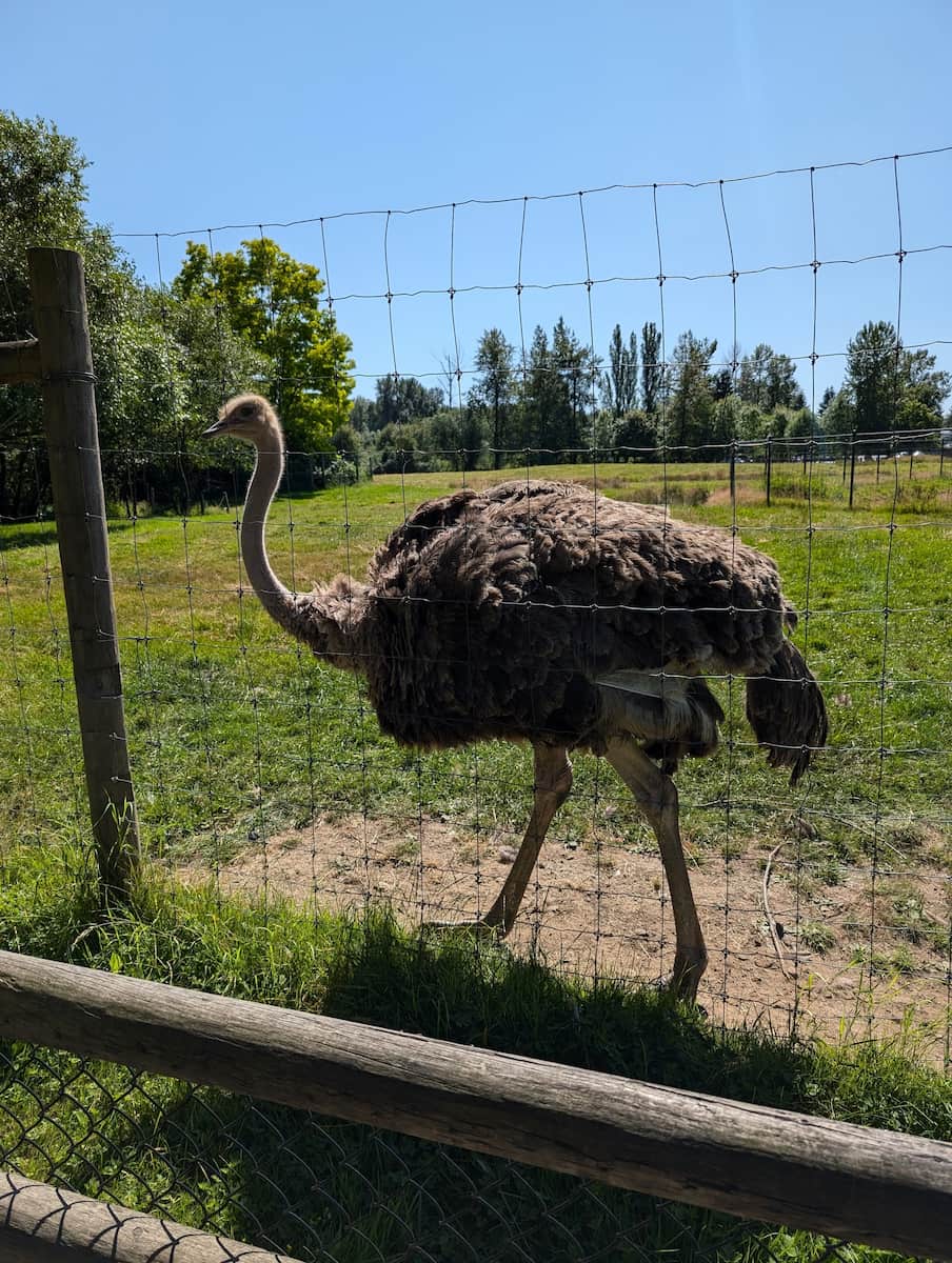 Greater Vancouver Zoo Greater Vancouver Zoo
