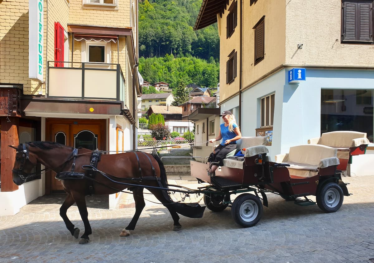 Horse-Drawn Carriage Rides, Engelberg