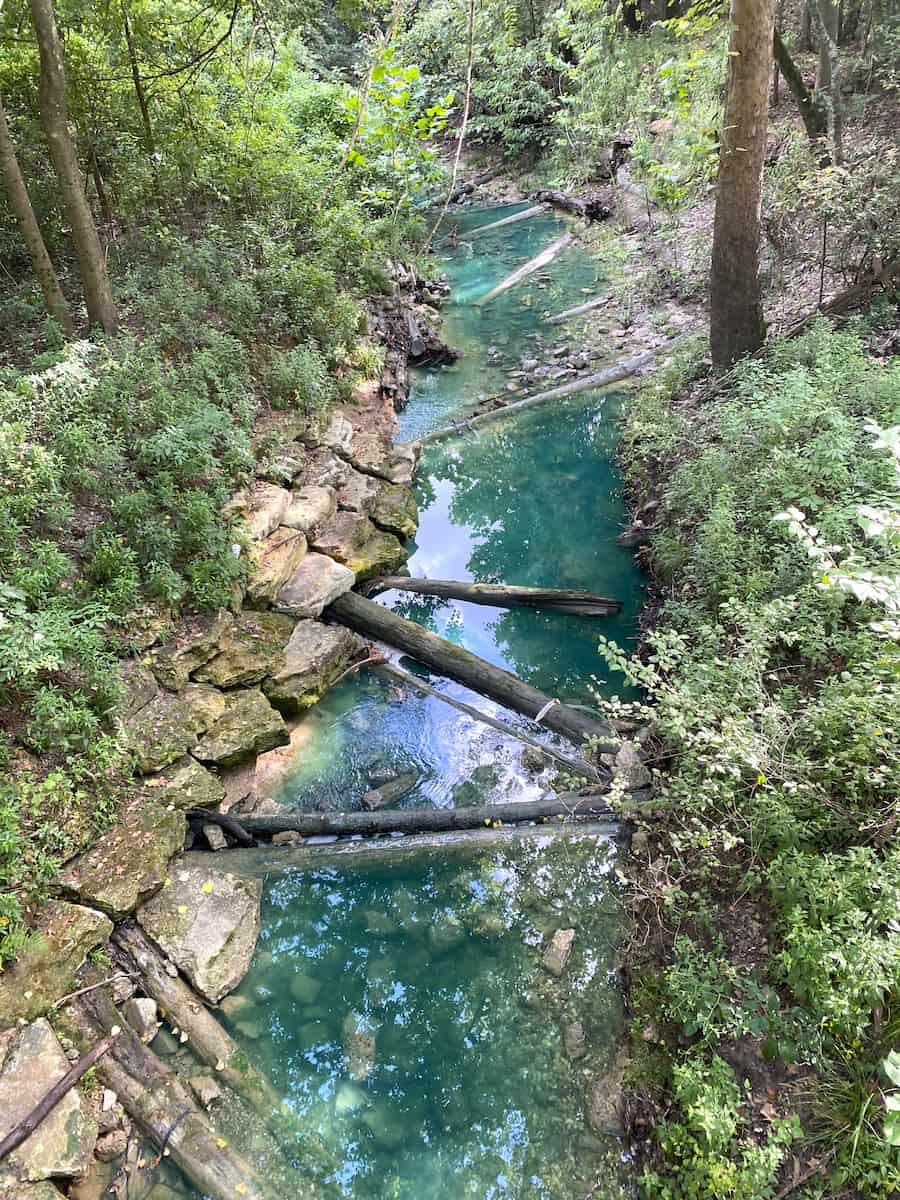 Houston Arboretum Houston Arboretum