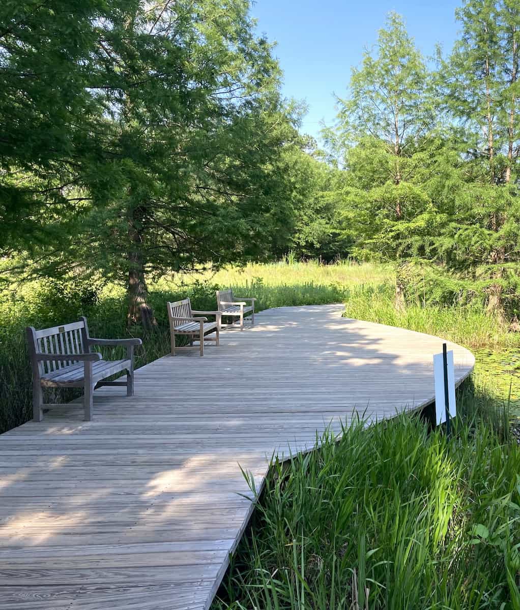 Houston Arboretum Houston Arboretum