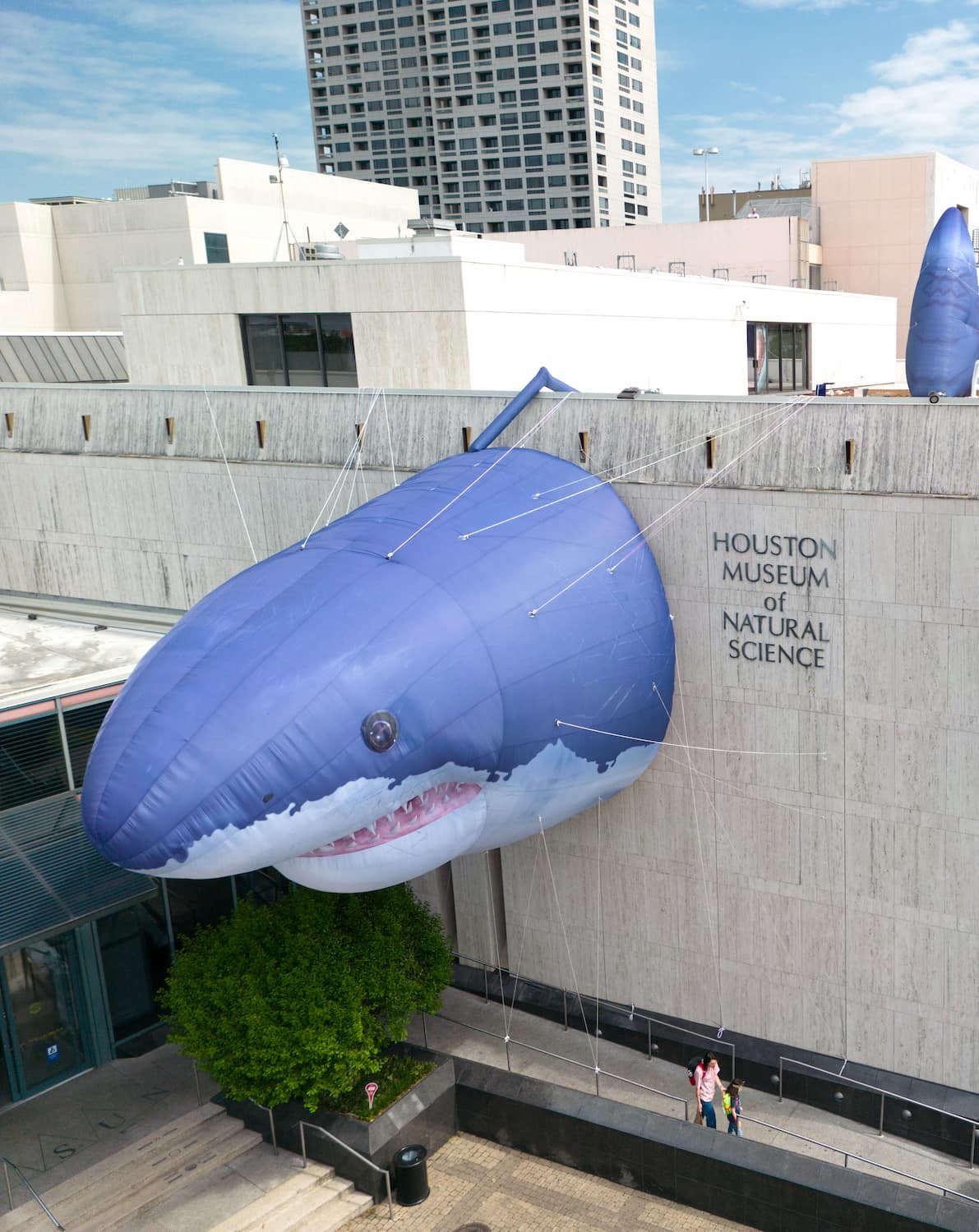 Houston Museum of Natural Science Houston Museum of Natural Science