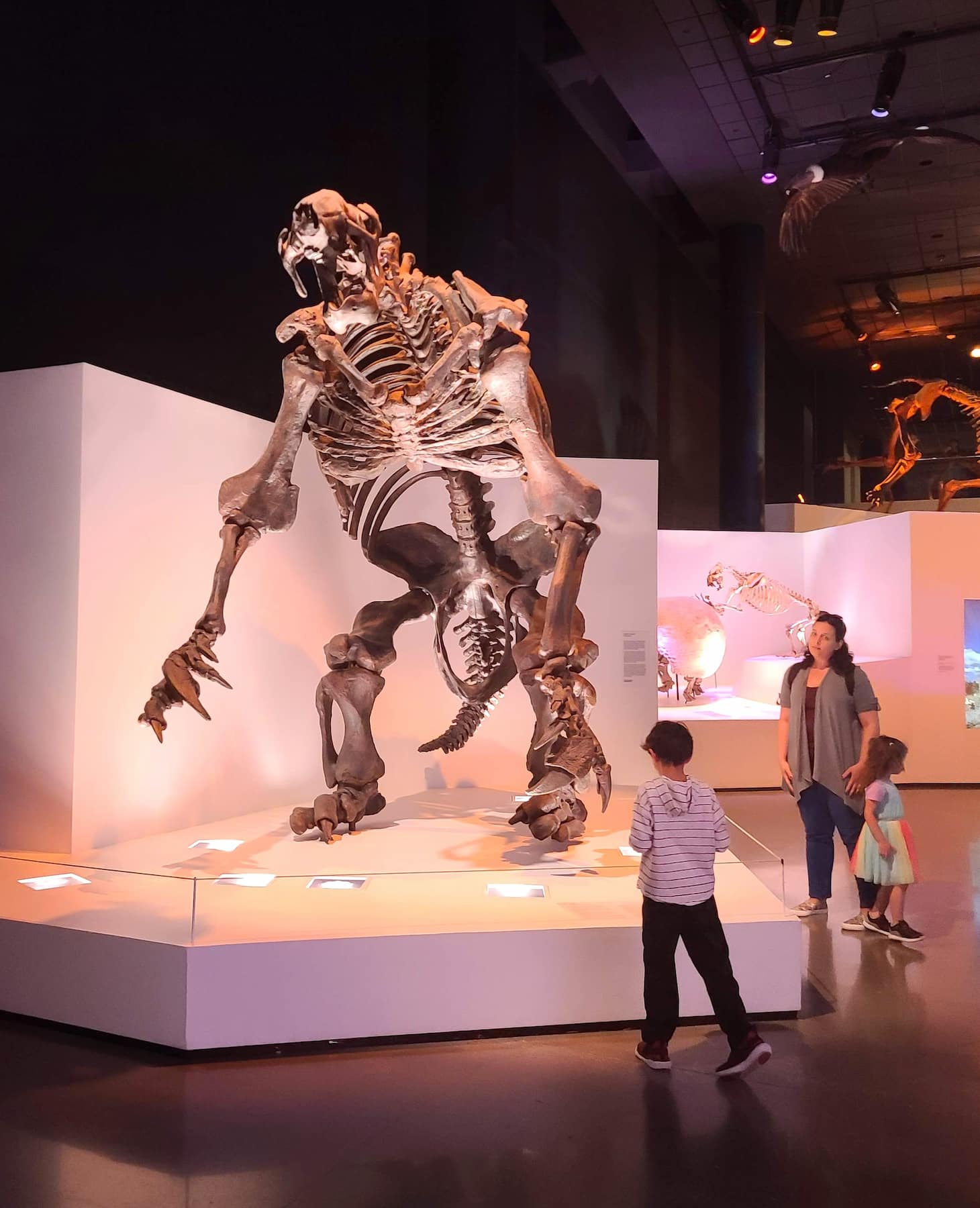 Houston Museum of Natural Science Houston Museum of Natural Science