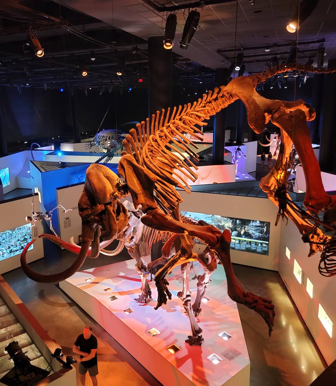 Houston Museum of Natural Science Houston Museum of Natural Science