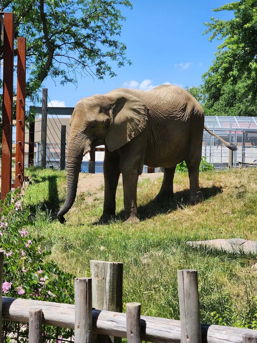 Animals in Indianapolis Zoo, Indianapolis