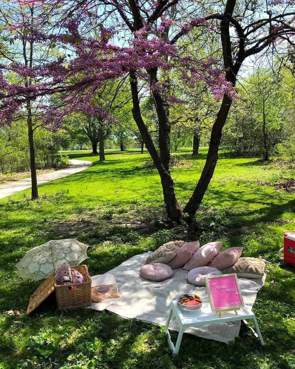 Jackson Park, Chicago Jackson Park, Chicago