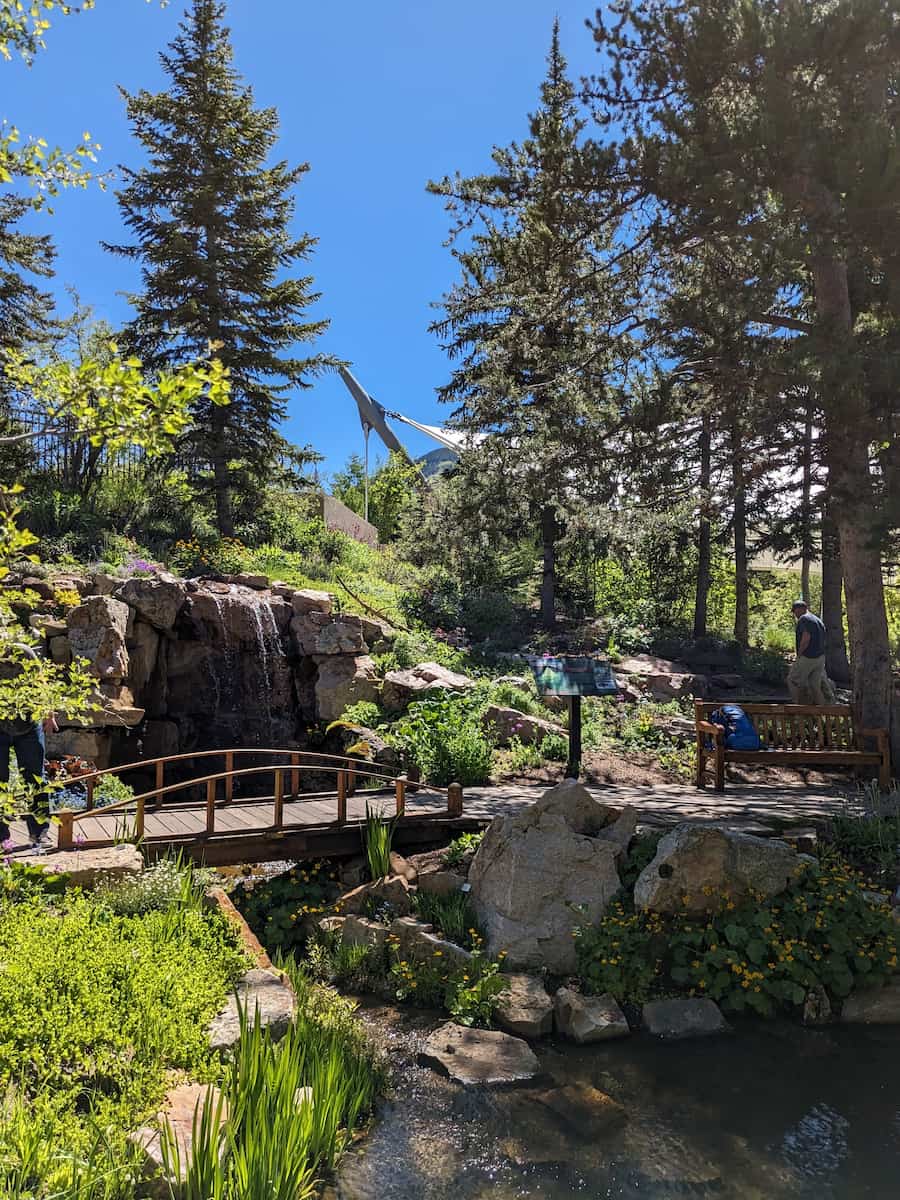 Spring in Denver Japanese Garden, Colorado