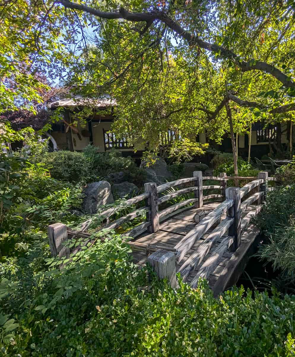 Spring in Denver Japanese Garden, Colorado