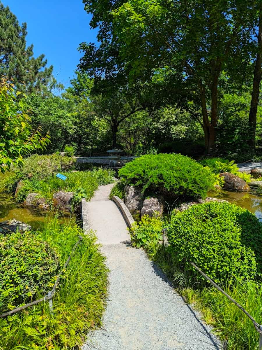 Japanischer Garten, Würzburg