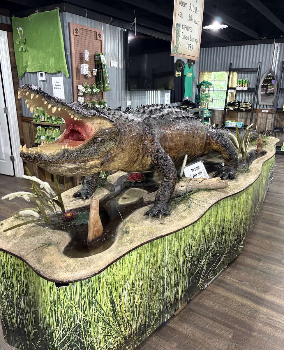 Jean Lafitte Swamp, Louisiana Jean Lafitte Swamp, Louisiana