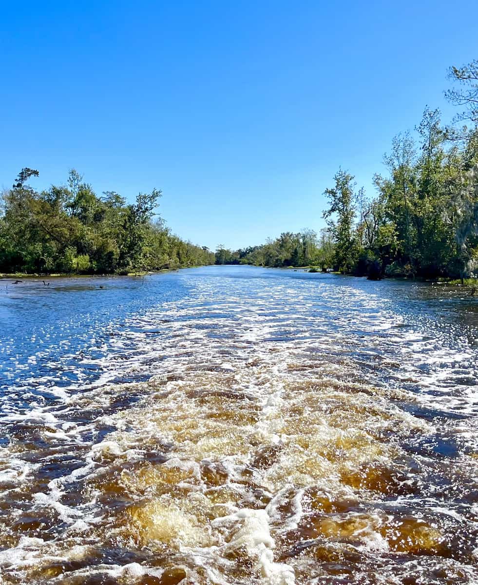 Jean Lafitte Swamp, Louisiana Jean Lafitte Swamp, Louisiana