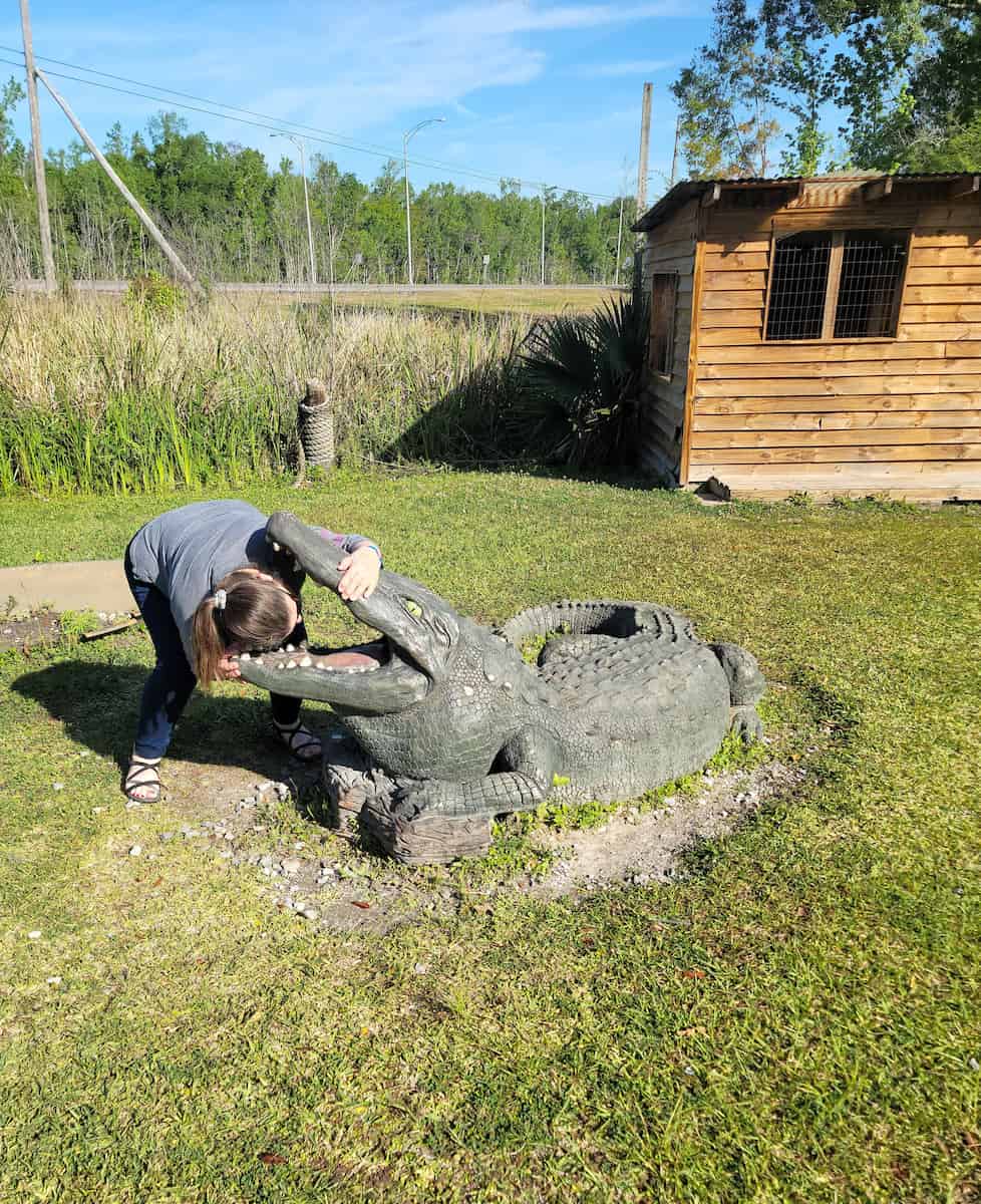 Jean Lafitte Swamp, Louisiana Jean Lafitte Swamp, Louisiana