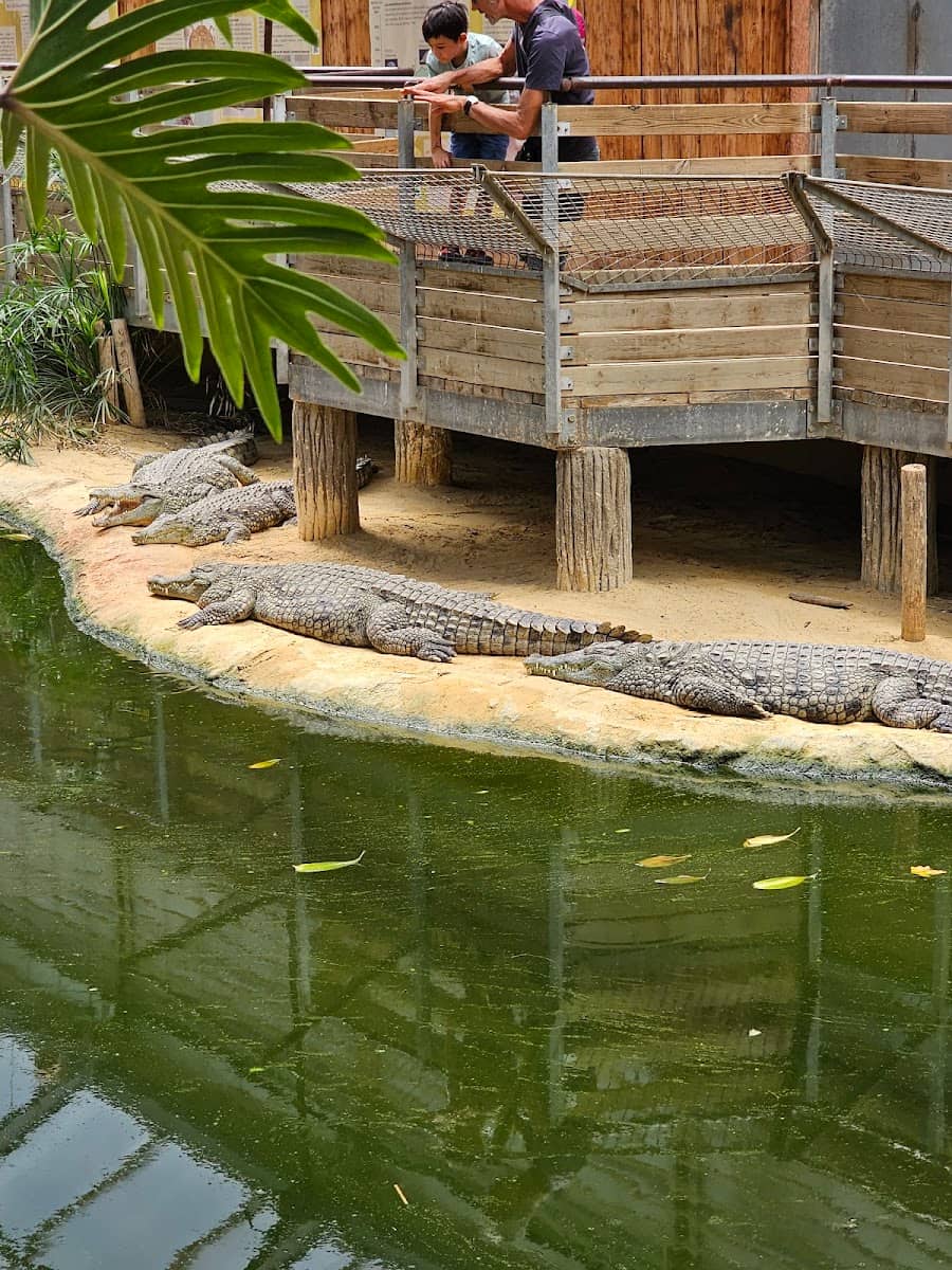 La Ferme aux Crocodiles, Provence La Ferme aux Crocodiles, Provence
